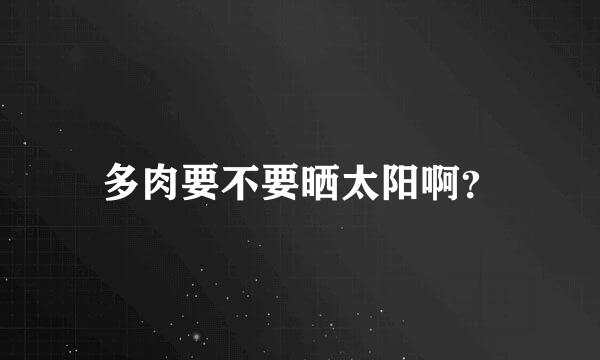 多肉要不要晒太阳啊？