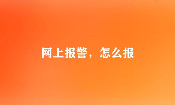 网上报警，怎么报