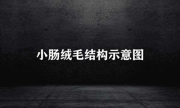 小肠绒毛结构示意图