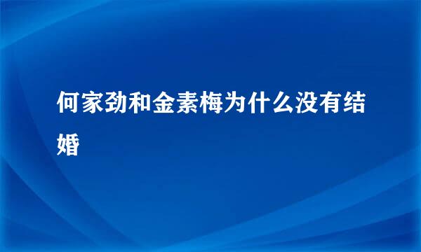 何家劲和金素梅为什么没有结婚