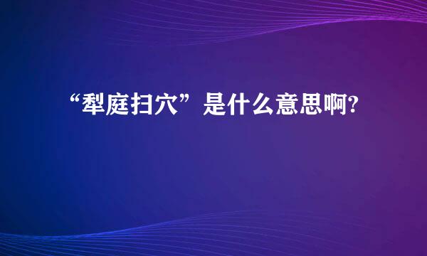 “犁庭扫穴”是什么意思啊?