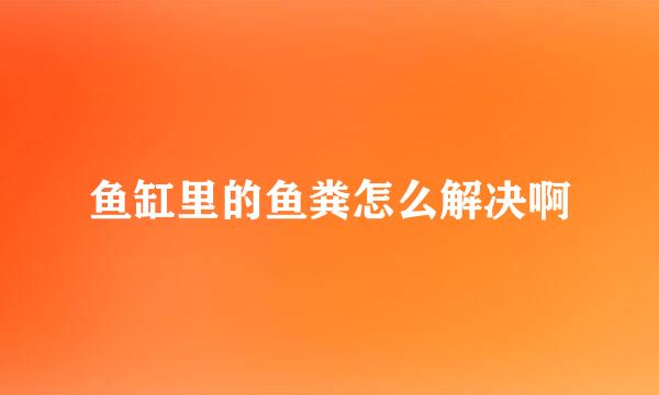 鱼缸里的鱼粪怎么解决啊