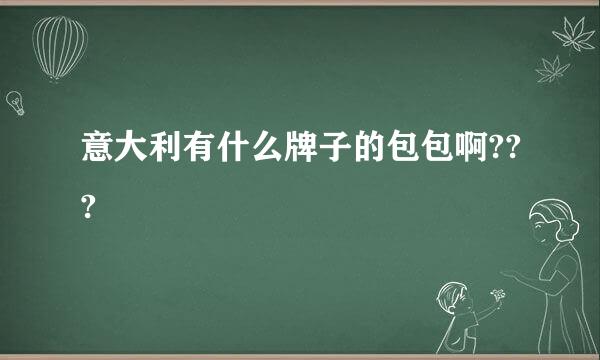 意大利有什么牌子的包包啊???