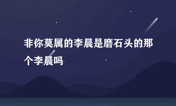 非你莫属的李晨是磨石头的那个李晨吗