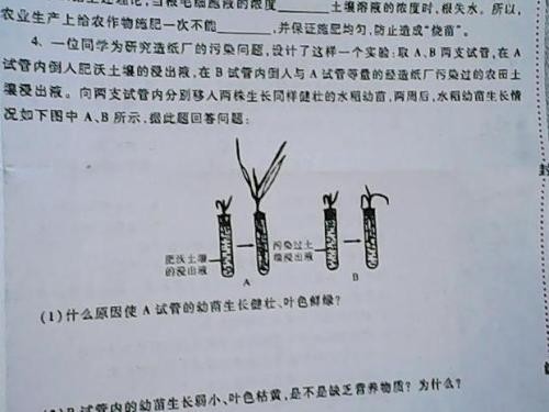 简答题检验过程中的五不准是什么