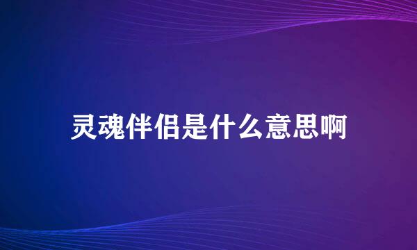 灵魂伴侣是什么意思啊