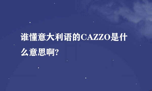 谁懂意大利语的CAZZO是什么意思啊?