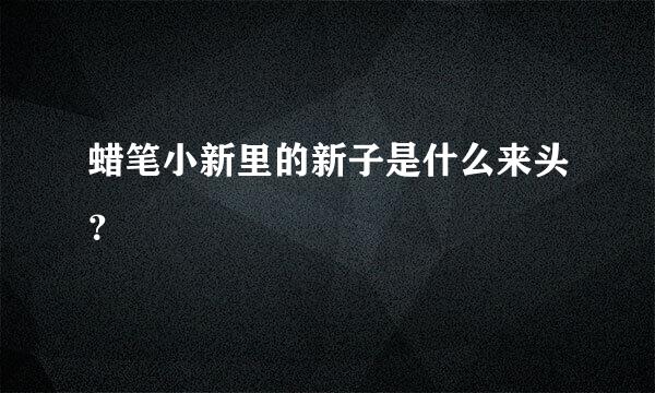 蜡笔小新里的新子是什么来头？