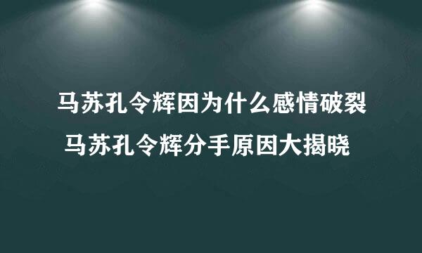 马苏孔令辉因为什么感情破裂 马苏孔令辉分手原因大揭晓