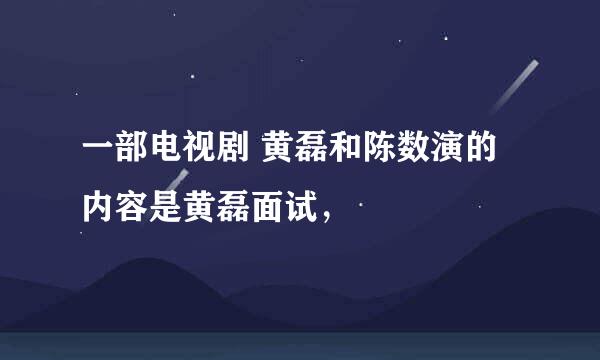 一部电视剧 黄磊和陈数演的 内容是黄磊面试，