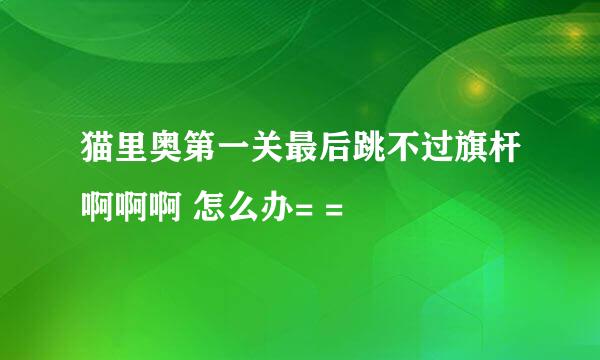 猫里奥第一关最后跳不过旗杆啊啊啊 怎么办= =