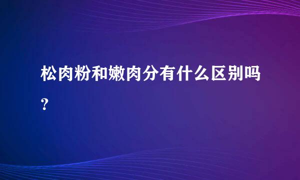 松肉粉和嫩肉分有什么区别吗？