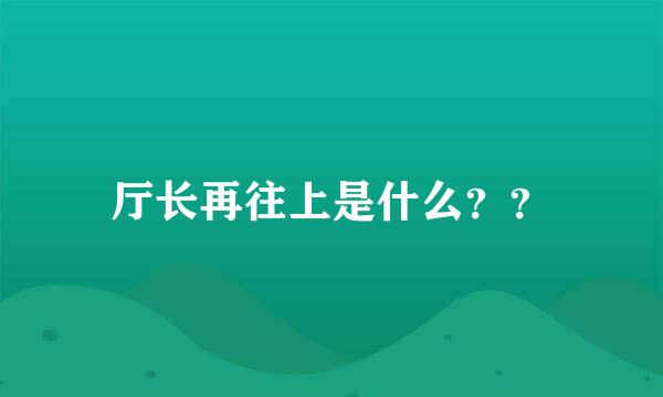 厅长再往上是什么？？