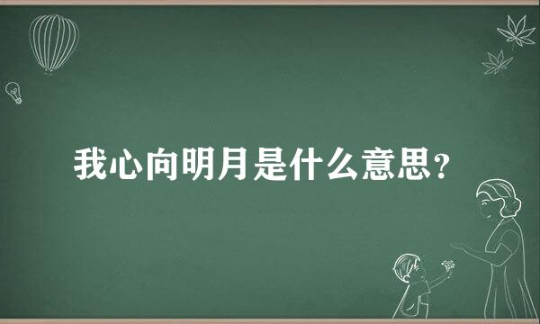 我心向明月是什么意思？