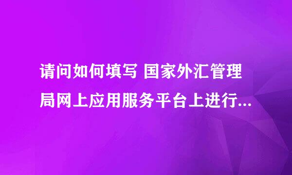 请问如何填写 国家外汇管理局网上应用服务平台上进行“网上进口逐笔报告”？