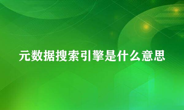 元数据搜索引擎是什么意思