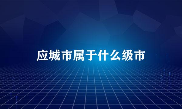 应城市属于什么级市