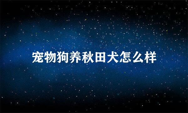 宠物狗养秋田犬怎么样