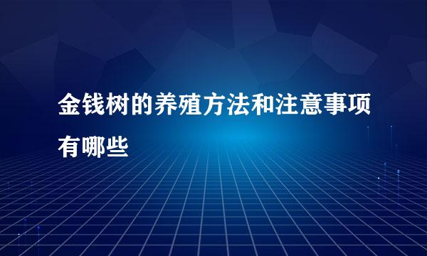 金钱树的养殖方法和注意事项有哪些