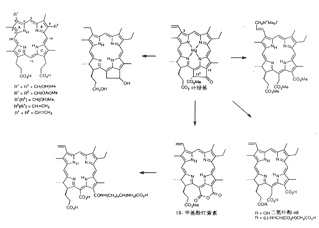 小分子肽是骗局吗 知乎