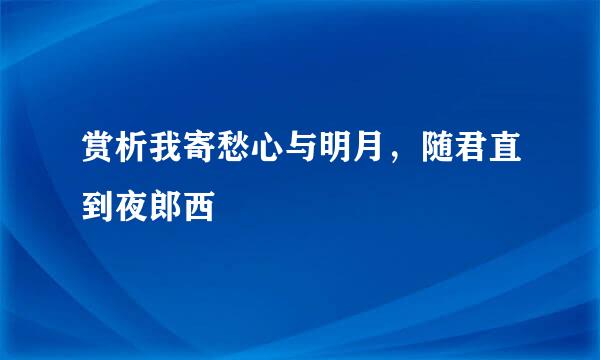 赏析我寄愁心与明月，随君直到夜郎西