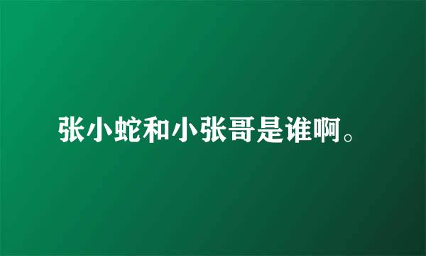 张小蛇和小张哥是谁啊。