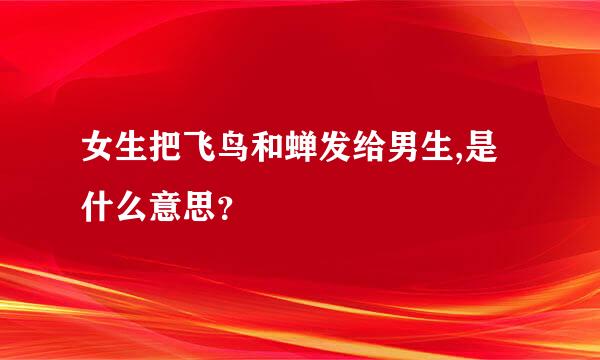 女生把飞鸟和蝉发给男生,是什么意思？