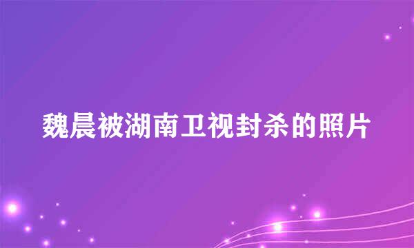 魏晨被湖南卫视封杀的照片