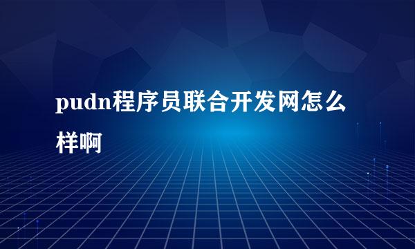 pudn程序员联合开发网怎么样啊