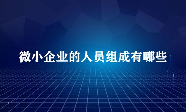 微小企业的人员组成有哪些