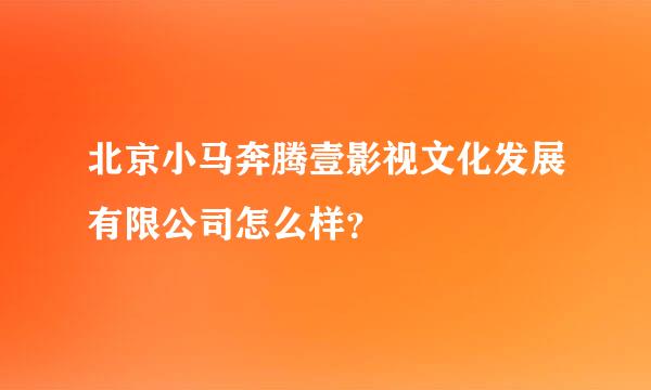 北京小马奔腾壹影视文化发展有限公司怎么样？