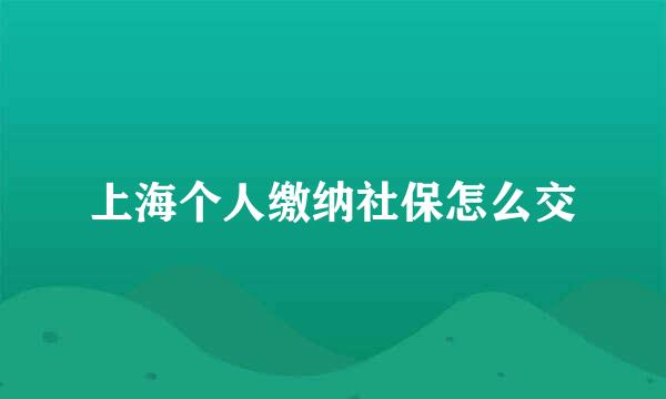 上海个人缴纳社保怎么交