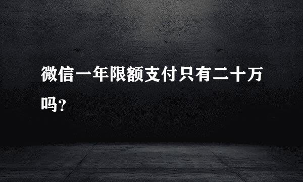 微信一年限额支付只有二十万吗？