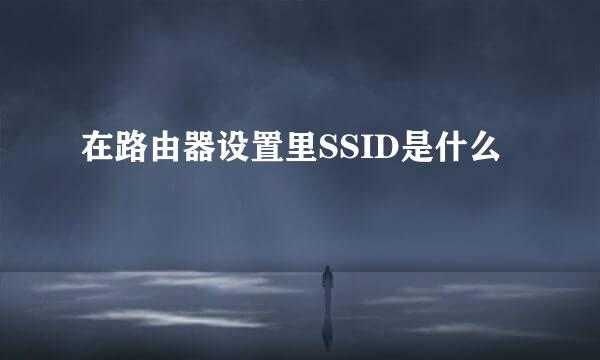 在路由器设置里SSID是什么