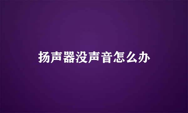 扬声器没声音怎么办