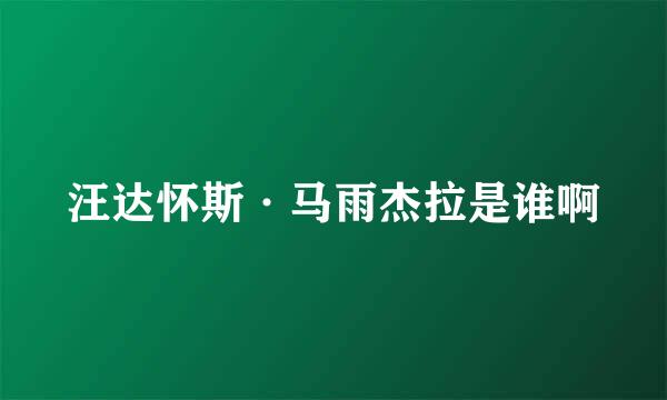 汪达怀斯·马雨杰拉是谁啊