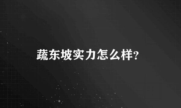 蔬东坡实力怎么样？