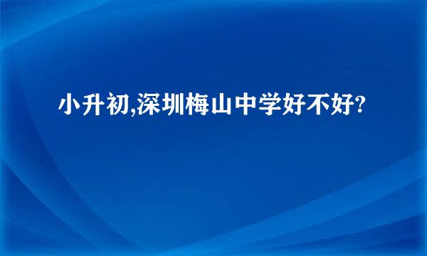 小升初,深圳梅山中学好不好?