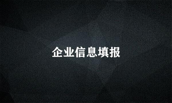 企业信息填报