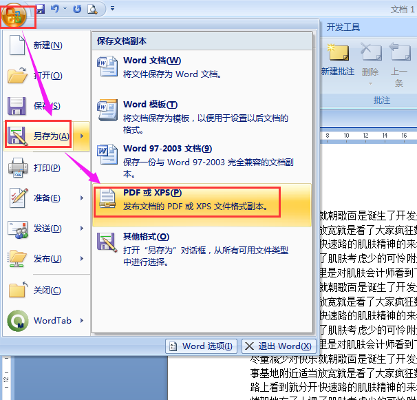 word2007可以转pdf吗