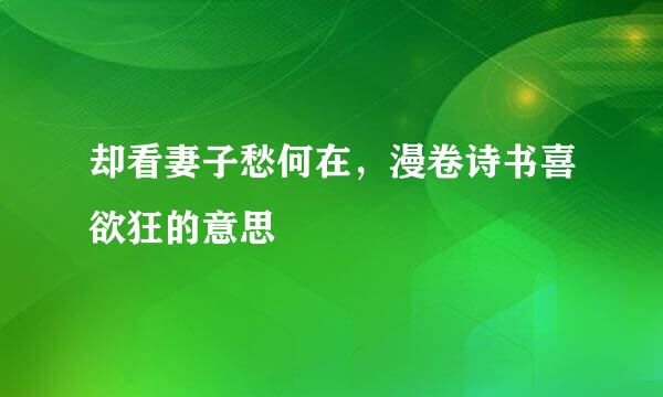 却看妻子愁何在，漫卷诗书喜欲狂的意思