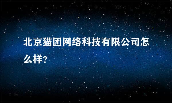 北京猫团网络科技有限公司怎么样？