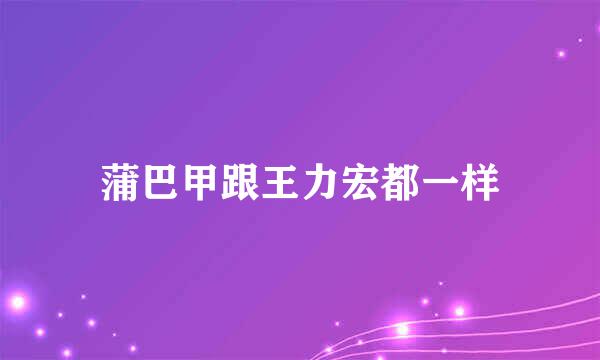 蒲巴甲跟王力宏都一样