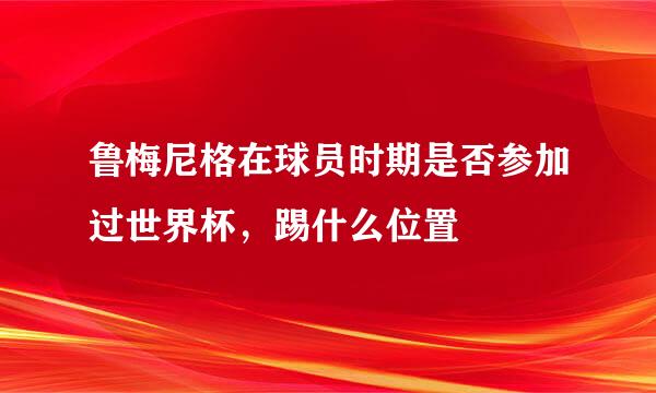 鲁梅尼格在球员时期是否参加过世界杯，踢什么位置