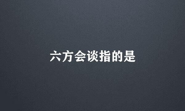 六方会谈指的是