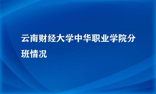 云南财经大学中华职业学院分班情况