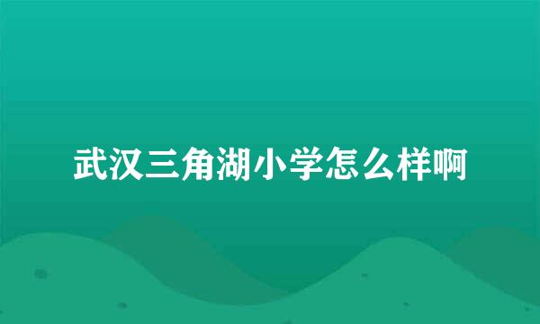 武汉三角湖小学怎么样啊