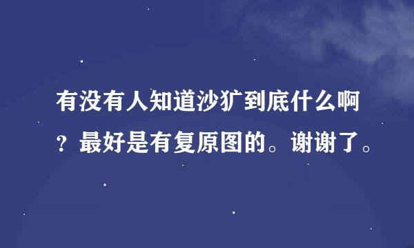 有没有人知道沙犷到底什么啊？最好是有复原图的。谢谢了。