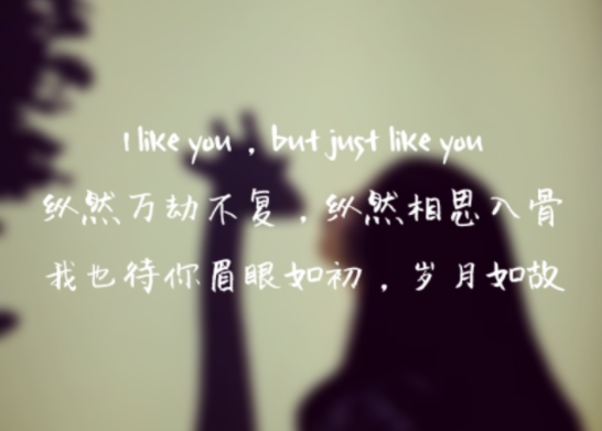 纵然万劫不复，纵然相思入骨，我也待你眉眼如初，岁月如故 和 I like you but just like you 两句的解释