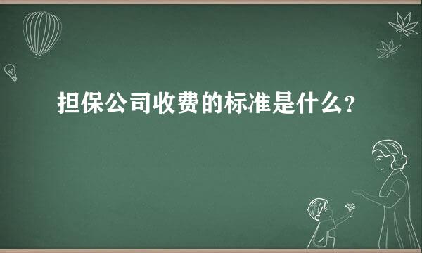 担保公司收费的标准是什么？